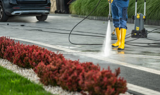 Best Roof Pressure Washing  in Lake Andes, SD